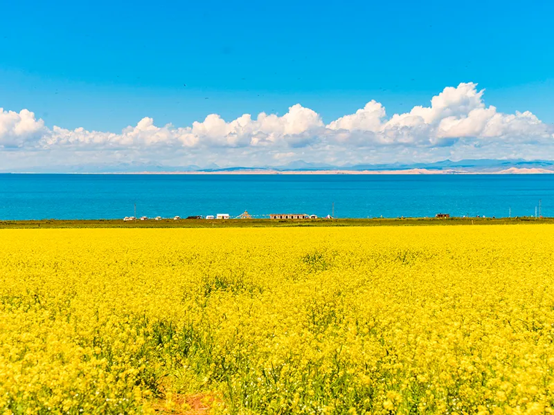 西北大环线6日经典游|青海甘肃全景盐湖丝路之旅 - 甘肃 5