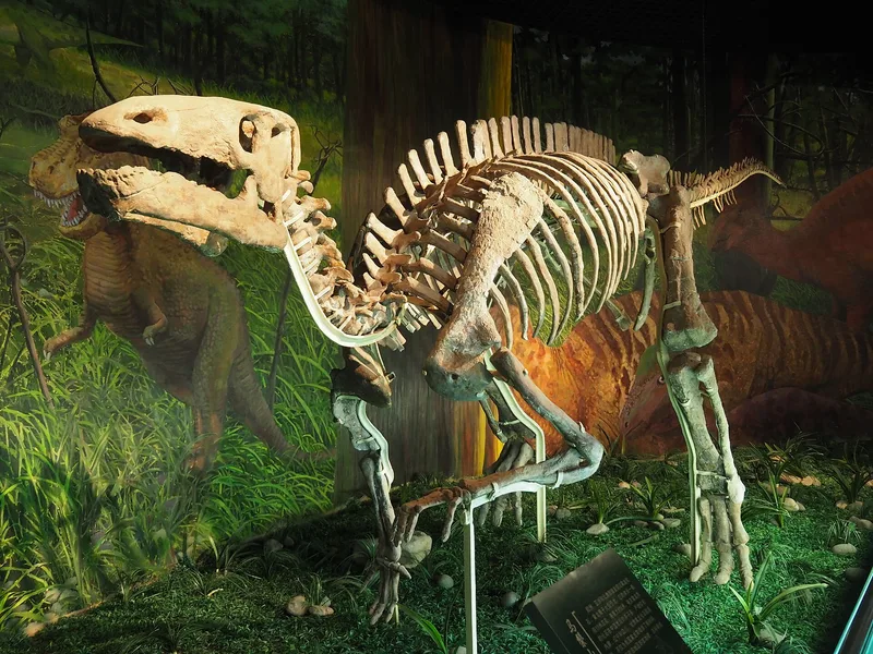 甘肅省博物館參觀攻略：銅奔馬在幾樓？預約、動線與鎮館之寶