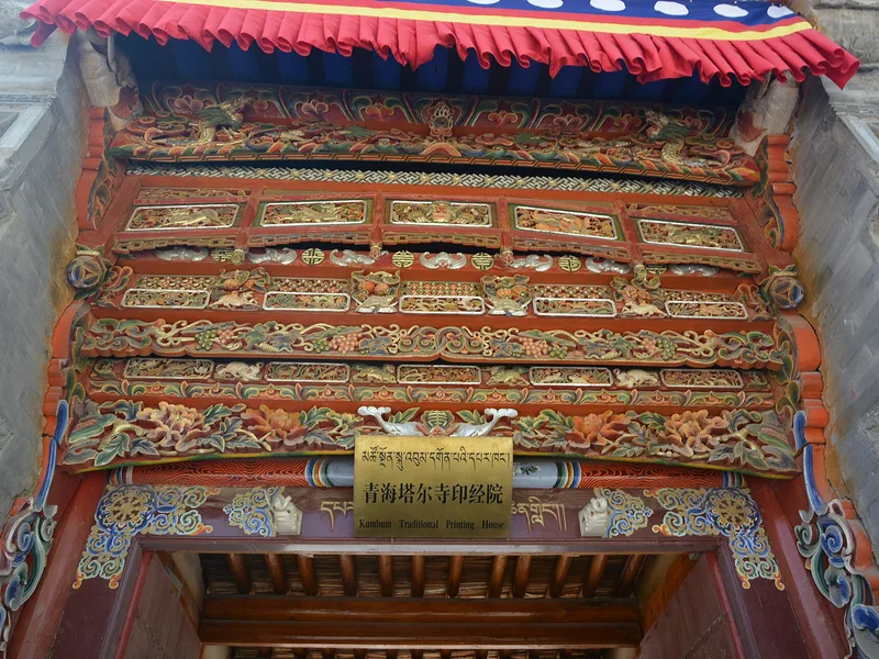 西寧一日遊怎麼玩？塔爾寺+市區精華路線，附交通與避坑