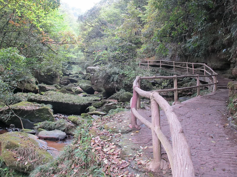 雅安碧峰峽怎麼玩？熊貓基地+峽谷+動物園，一天怎麼安排不趕 - 旅行攻略封面圖