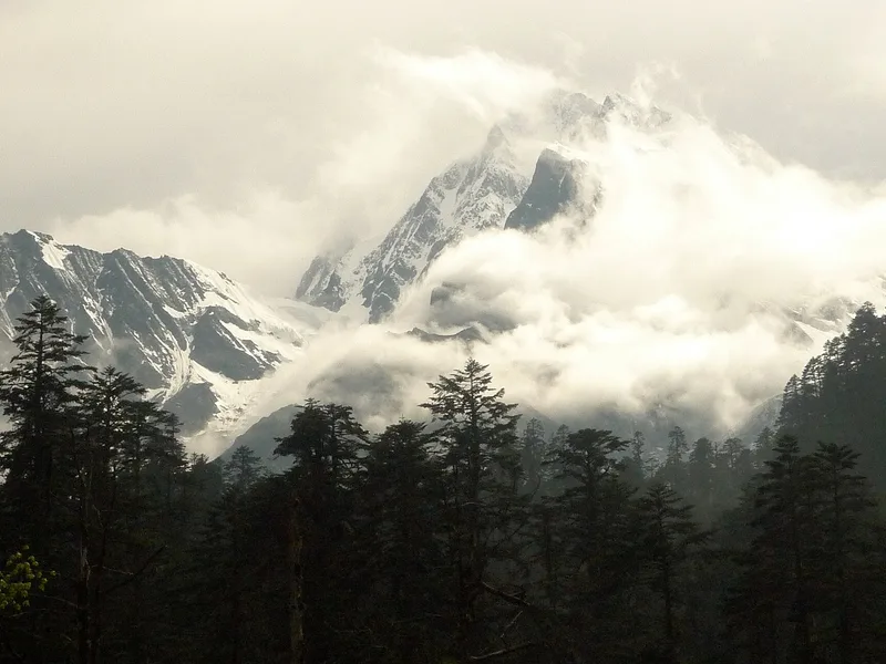 王崗坪怎麼玩？看貢嘎日照金山的觀景平臺 + 滑雪，門票索道行程全講清 - 景點攻略