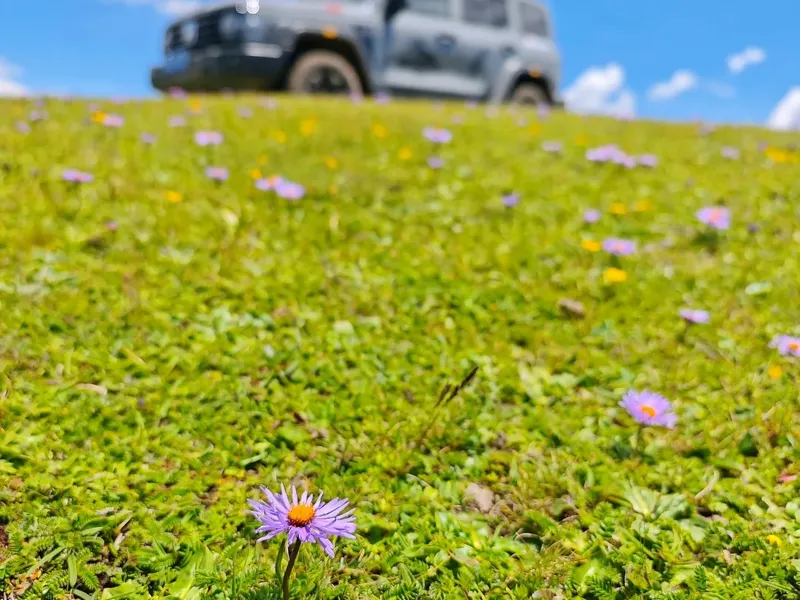 喀拉峻草原怎麼玩？人體草原+鮮花台+獵鷹台全攻略
