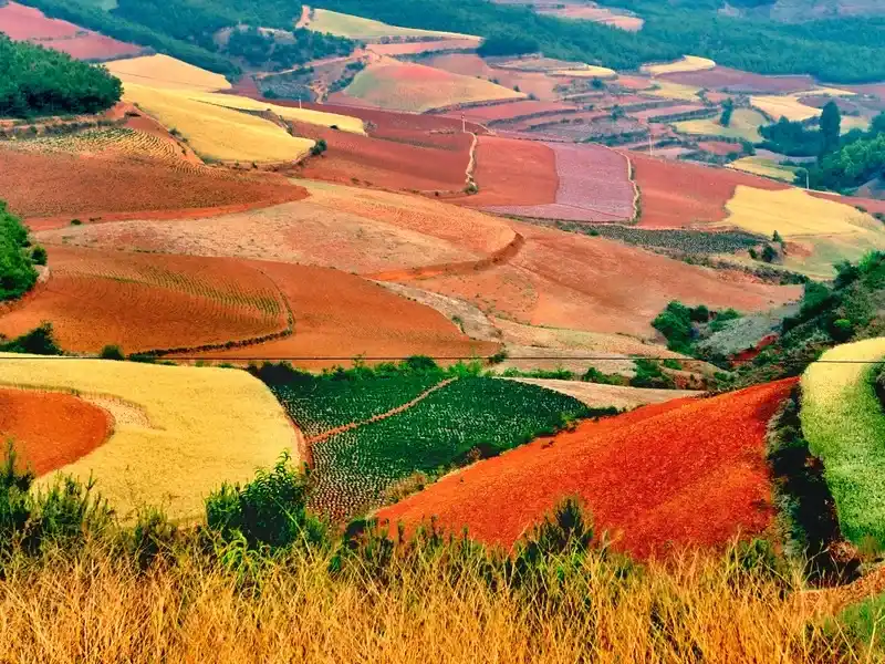 羅平油菜花+東川紅土地攝影指南：雲南兩大視覺盛宴一次拍夠