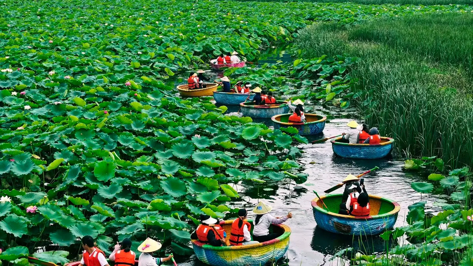 普者黑怎么玩？（三生三世拍摄地+荷塘）