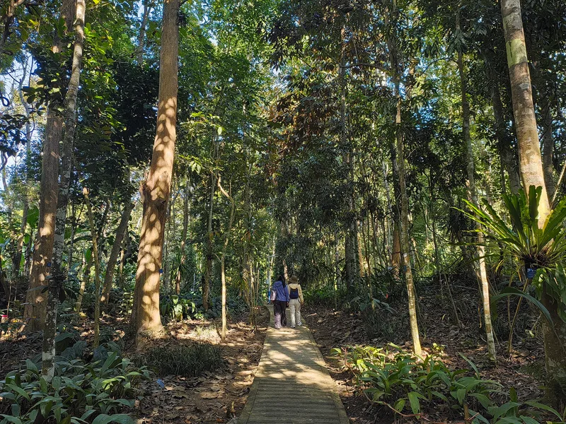 雲南旅遊攻略封面